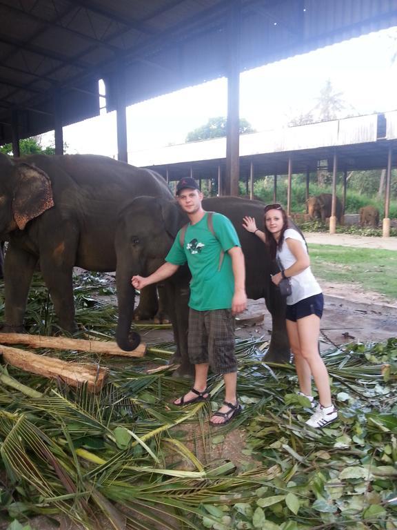 Elephant Reach Villa Pinnawala 핀나와라 외부 사진