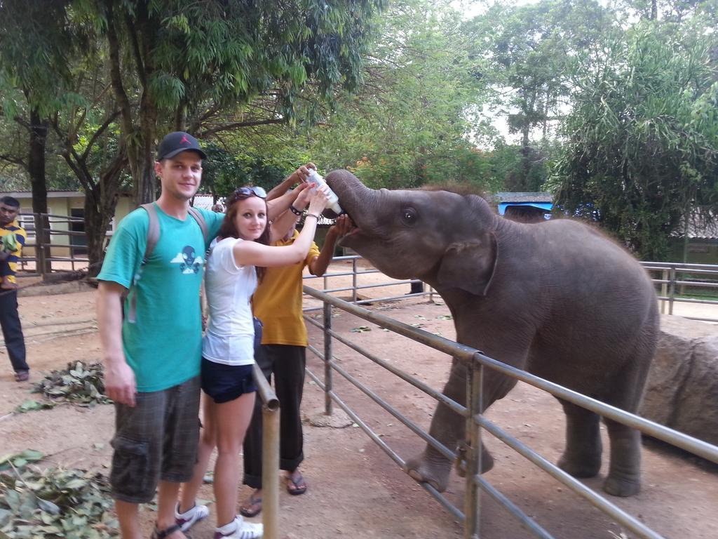 Elephant Reach Villa Pinnawala 핀나와라 외부 사진